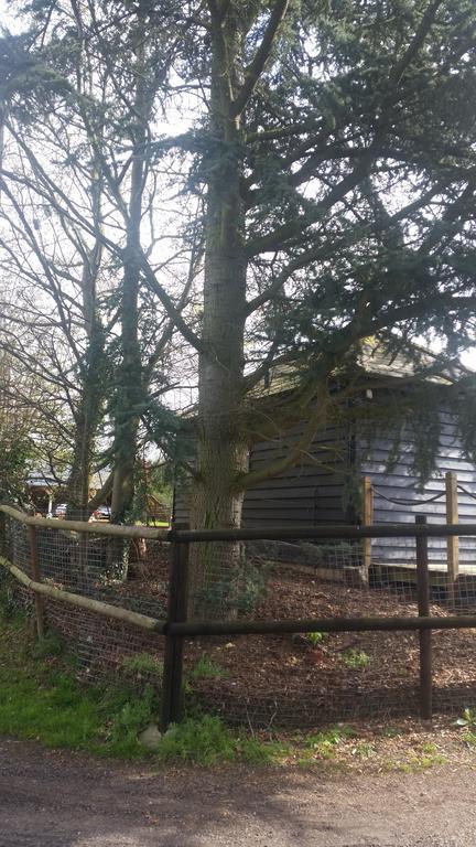 Latchmead Bed & Breakfast Stansted Mountfitchet Buitenkant foto